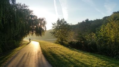 gav_k's profile picture. 