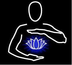 Offering Ashtanga, Vinyasa, & Beginner Yoga. Experienced instructors, non-competitive environment, & a yoga community.