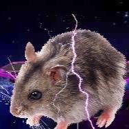 PooPostPosse's profile picture. dead, go follow who we follow