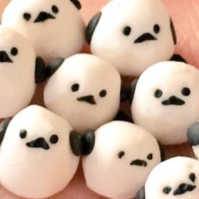 たどころさんのプロフィール画像