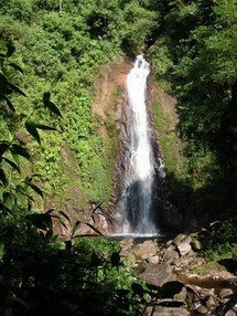 sanvicentecr's profile picture. Comunidad rural del norte de Costa Rica en donde aún la unión familiar, la solidaridad y el trabajo son valores fundamentales de las personas.