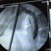 Jose Giordano (@drpepegiordano) Twitter profile photo Jose Giordano (@drpepegiordano) Twitter profile photo