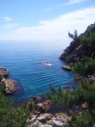 만일 자유에 대한 본능이 있다는 것을 받아들인다면
세상을 변화시킬 수 있는 기회가 있다.
더 나은 세상을 만드는 데
귀하가 기여할 기회가 있는 것이다. - 촘스키
