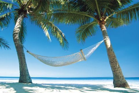 I am a consumer of good books and cups of tea,  walker of the local beach, appreciater of my lovely partner and family.