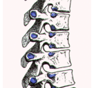 Dean Nicholson - @DNicholsonChiro - Twitter