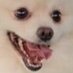 choppy blob bob (@fictivesister) Twitter profile photo choppy blob bob (@fictivesister) Twitter profile photo