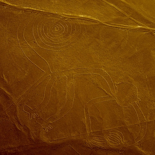 mdib's profile picture. 