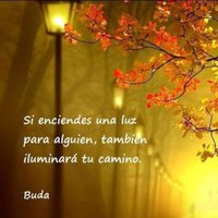 Juan Manuel Maese (@juanmareco) 's Twitter Profile