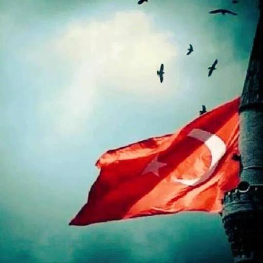 yasinkayun's profile picture. 