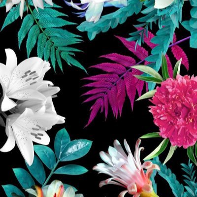 ohwellnvrmind's profile picture. 