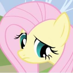 Fluttershy quotes, every 30 minutes. Please be patient with replies and contact @jaspidot for questions!