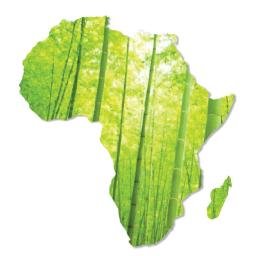 Eco Bamboo Africa is a leading distributor of high quality strand woven #bamboo #flooring, #countertops, rolled #fencing, & composite #decking