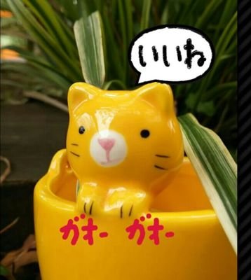 気まぐれでごめんなさい。
今年ひとり暮らし始めました。にゃんこと一緒ﾆｬﾝ(=^ェ^=)

美味しいもの食べるために生きる。
うんちやんって言わないで！