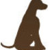 Dog Network (@DogNetwork) Twitter profile photo