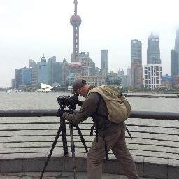 Birding news from Earth's largest city by Craig Brelsford, creator of https://t.co/nf9QXDgJFj