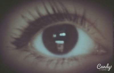 forevergold_0's profile picture. 