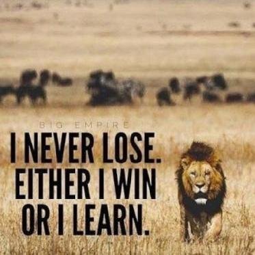 haqinc's profile picture. 