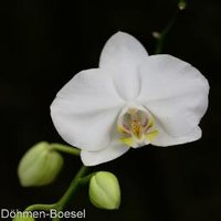 Bines Blog (@binesblogs) 's Twitter Profile Photo