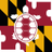APX_UMD's profile image