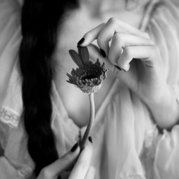 MelAlinaBlogs's profile picture. Cover book designer who loves blogging about books ,loves reading & reviewing and loves promoting  books & authors .  #bookblog #bookreviews