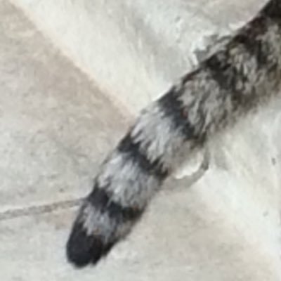 sirosiro0626's profile picture. いにしえのネットワーク本を集めています