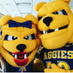 NC A&T Admissions (@NCATAdmissions) Twitter profile photo