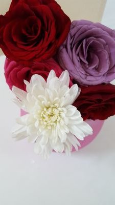 وردة حمراء رومانسية Rose صور ورد وزهور Rose Flower Images