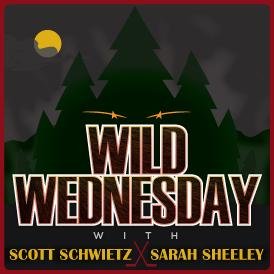 Best NEW Hockey Show in the Market! #WildWednesday with @SSchwietz & @sarahsheeley & @TonyDeanHB Produced by @AATroe @AliveandSocial https://t.co/TwJ4HtIiUs