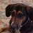 blarney_stone's profile image