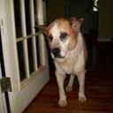 Jon Speck - @jds3038 - Twitter