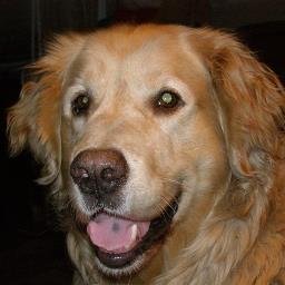 jjjvvv821's profile picture. 