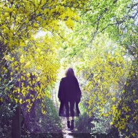 GOLDEN GROVE (@goldengroveband) 's Twitter Profile Photo GOLDEN GROVE (@goldengroveband) 's Twitter Profile Photo