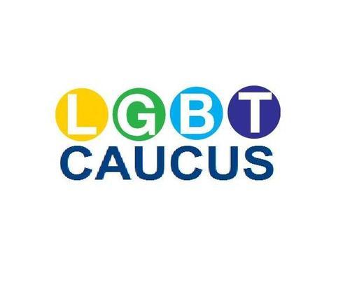 LGBT Caucus Profile