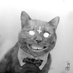 Jean-Moundir (@supermegadrivin) Twitter profile photo Jean-Moundir (@supermegadrivin) Twitter profile photo