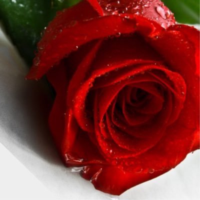 AhmedRugaya's profile picture. missbahrain777