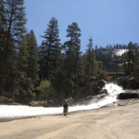 tonedeth (@tonedeth) 's Twitter Profile Photo