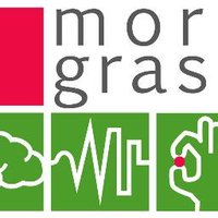 MoreGrasp (@moregrasp) 's Twitter Profile