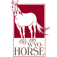 Fashion jewelry with a western edge. Wyo-Horse Jewelry is a wholesale jewelry company providing original and trendy designs to retail stores around the world.