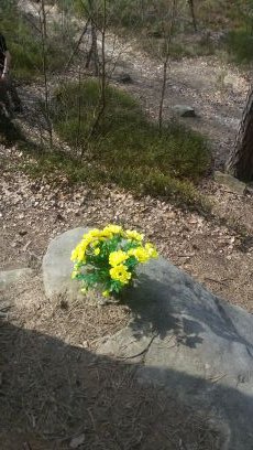 RyslavaPetra's profile picture. 