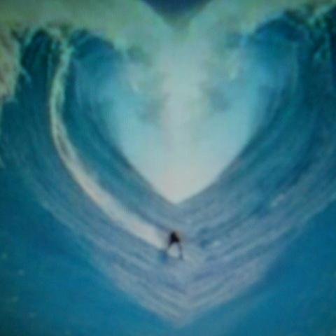 Helping Towards A Sustainable Healthy Habitat For All Sea Life In Our Oceans. A Voice For The Voiceless.