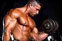 I am interested in weightlifting, cars, video games, movies, researching/learning what is happening in the world and helping others.