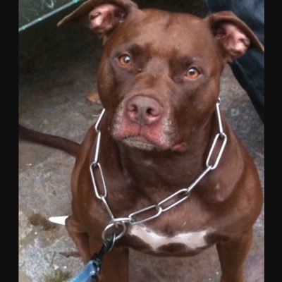 Quoteado1's profile picture. 