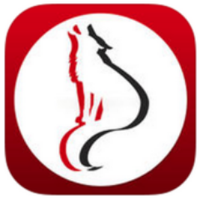 Anselmo-Merna (@amcoyotes) 's Twitter Profile