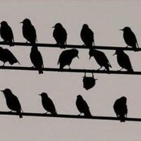 Michael (@jamsession4444) 's Twitter Profile Photo