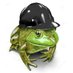 Le Crapaud Mal (@LeCrapaudMal) Twitter profile photo