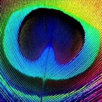 o (@noobimag) 's Twitter Profile
