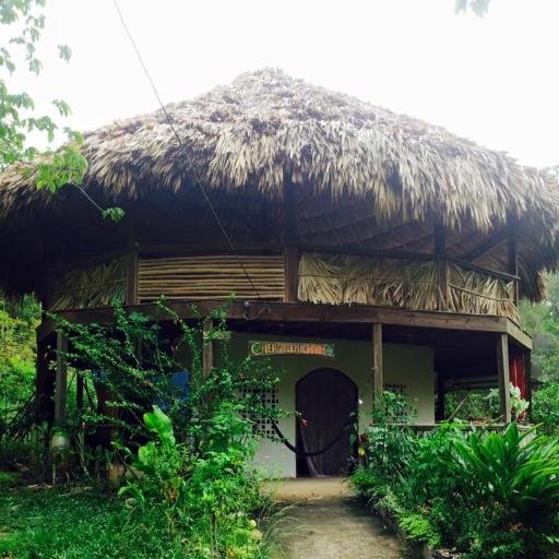 bliss out from within, kundalini, waterfall, jungle, Belize, yoga, mudra, mantra, music, kirtan & community, one mind, one heart, all arts of the most high