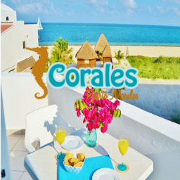 Corales suites is a beautiful ocean view lodging, that offers apartments, fully equipped, located just a few steps from the beach, in the town of Puerto Morelos