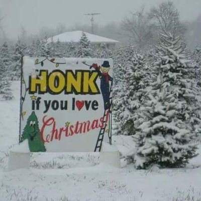 Sickels Tree Farm Sickelstreefarm Twitter