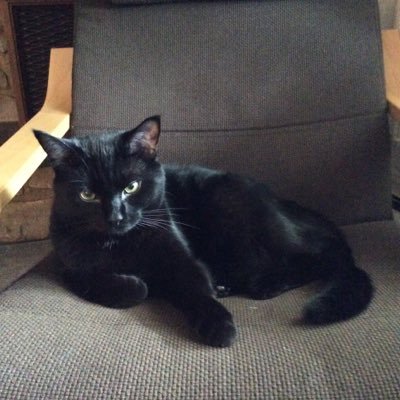 Margo198M's profile picture. 